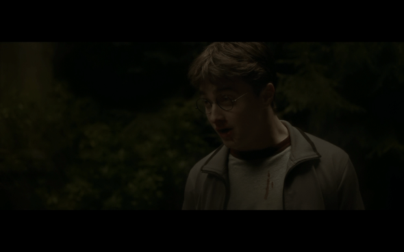 Harry Potter and the Half-Blood Prince - 271