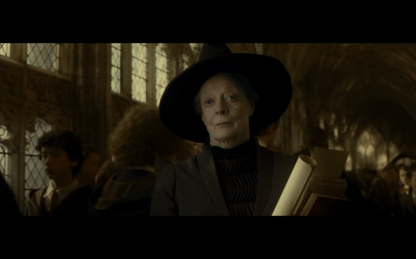 Harry Potter and the Half-Blood Prince - 304