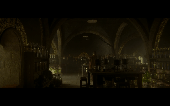 Harry Potter and the Half-Blood Prince - 313