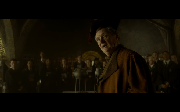 Harry Potter and the Half-Blood Prince - 314