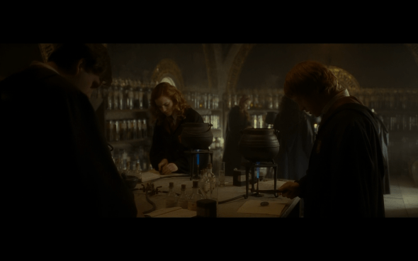 Harry Potter and the Half-Blood Prince - 336