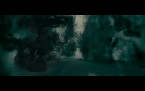 Harry Potter and the Half-Blood Prince - 385