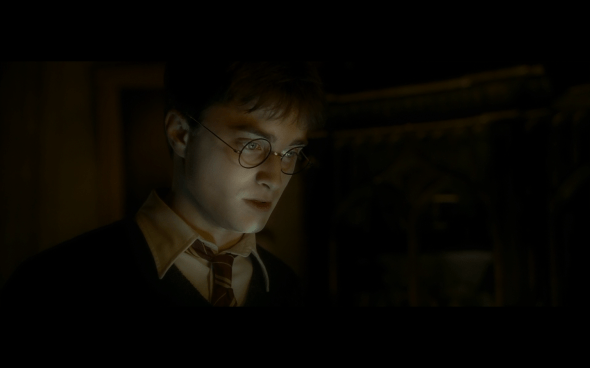 Harry Potter and the Half-Blood Prince - 417