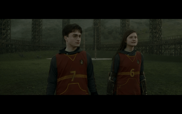 Harry Potter and the Half-Blood Prince - 431