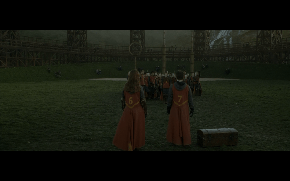 Harry Potter and the Half-Blood Prince - 432