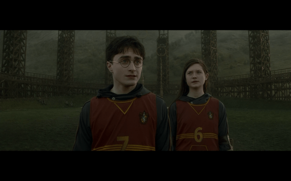 Harry Potter and the Half-Blood Prince - 434