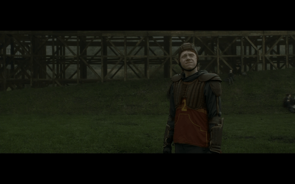 Harry Potter and the Half-Blood Prince - 435