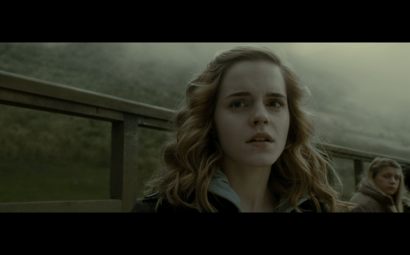 Harry Potter and the Half-Blood Prince - 455