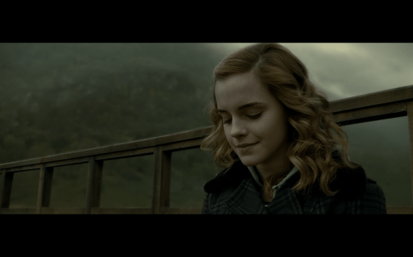 Harry Potter and the Half-Blood Prince - 459