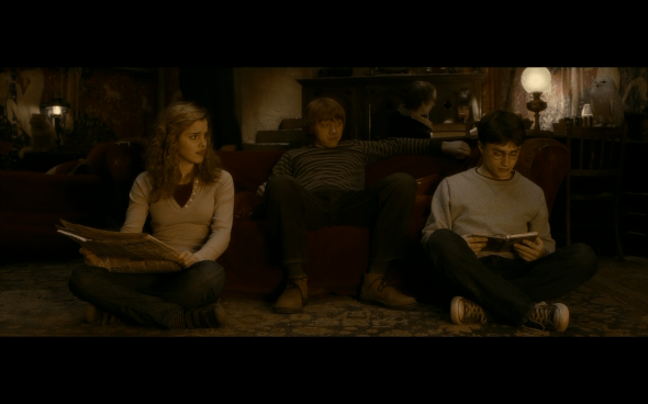 Harry Potter and the Half-Blood Prince - 469