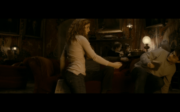 Harry Potter and the Half-Blood Prince - 470