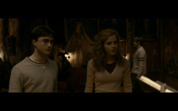 Harry Potter and the Half-Blood Prince - 474
