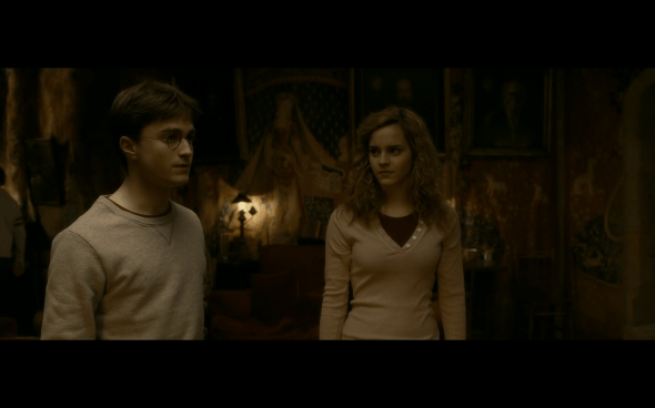 Harry Potter and the Half-Blood Prince - 476