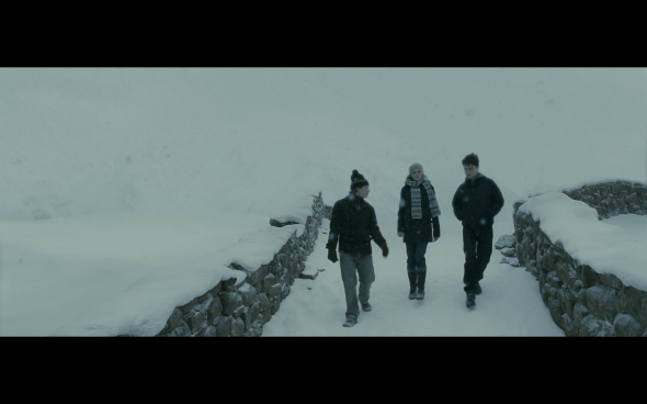 Harry Potter and the Half-Blood Prince - 485