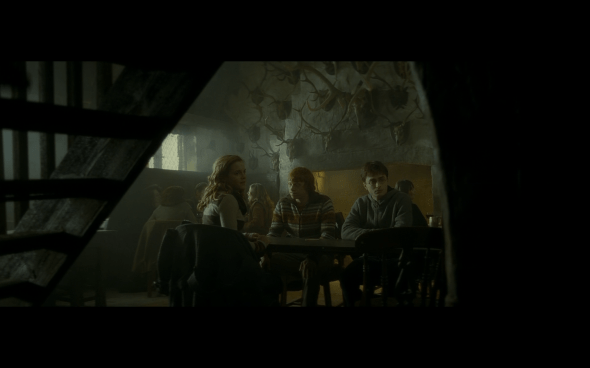 Harry Potter and the Half-Blood Prince - 491