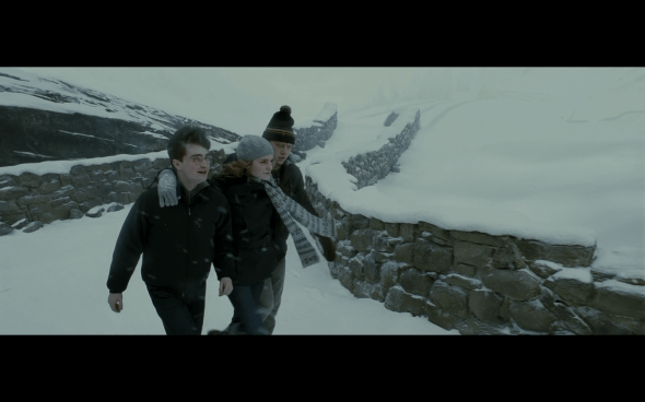 Harry Potter and the Half-Blood Prince - 521