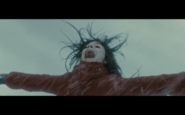 Harry Potter and the Half-Blood Prince - 532