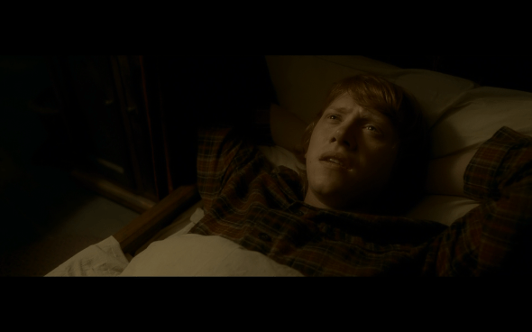 Harry Potter and the Half-Blood Prince - 565