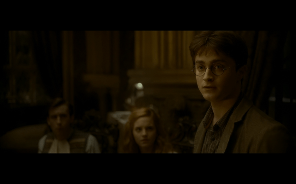 Harry Potter and the Half-Blood Prince - 574