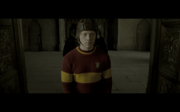 Harry Potter and the Half-Blood Prince - 590