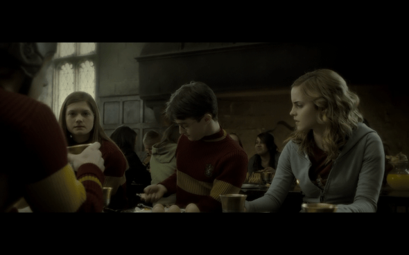 Harry Potter and the Half-Blood Prince - 602