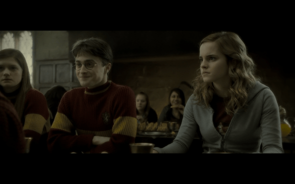 Harry Potter and the Half-Blood Prince - 607
