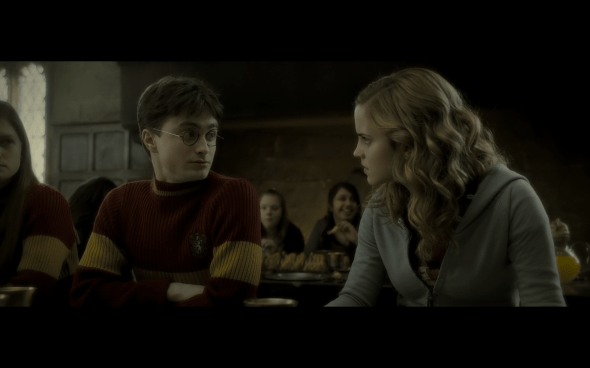 Harry Potter and the Half-Blood Prince - 608