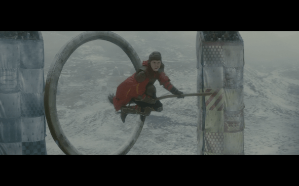 Harry Potter and the Half-Blood Prince - 617