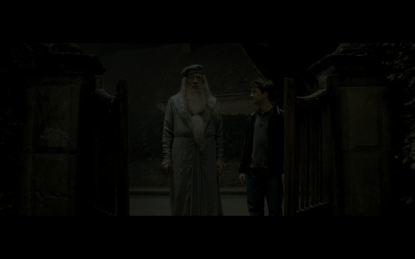 Harry Potter and the Half-Blood Prince - 62