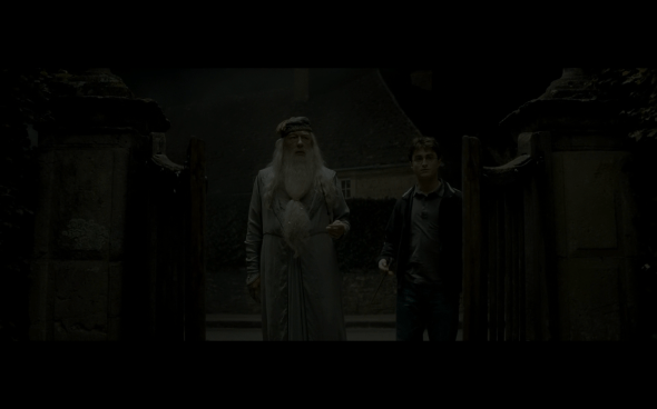Harry Potter and the Half-Blood Prince - 63
