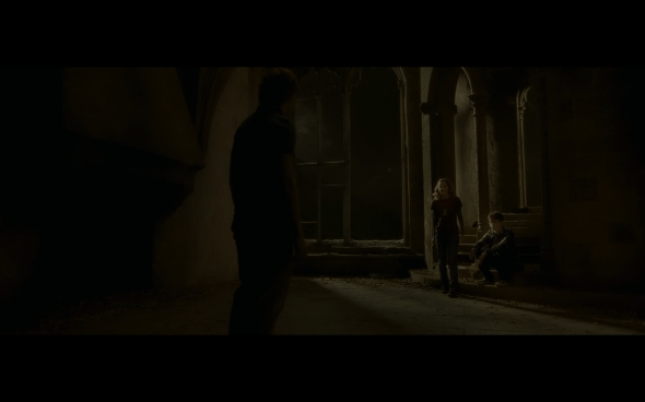 Harry Potter and the Half-Blood Prince - 654