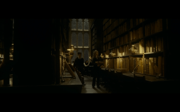 Harry Potter and the Half-Blood Prince - 665