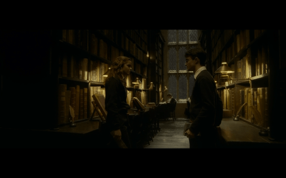 Harry Potter and the Half-Blood Prince - 667