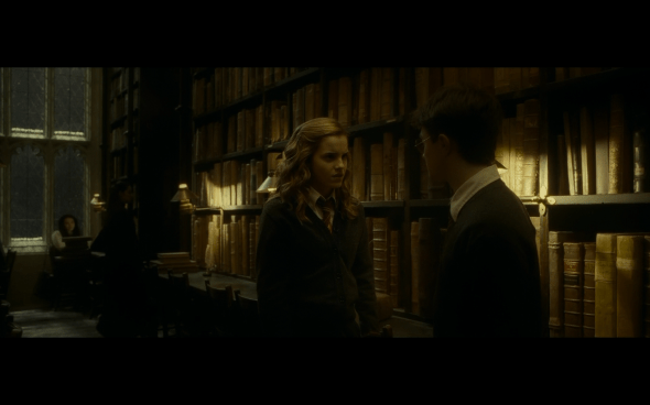 Harry Potter and the Half-Blood Prince - 672