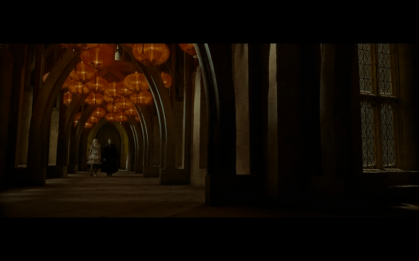 Harry Potter and the Half-Blood Prince - 678