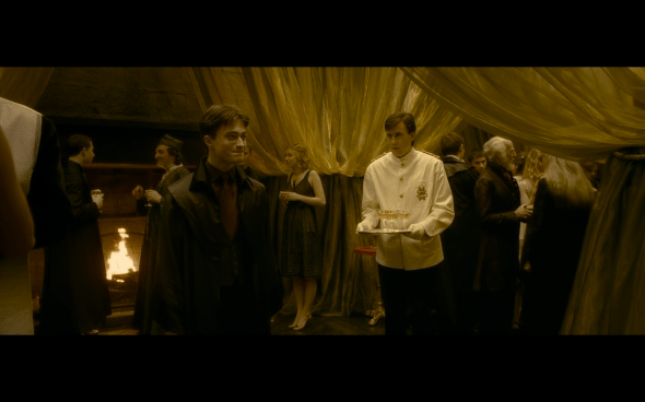 Harry Potter and the Half-Blood Prince - 688