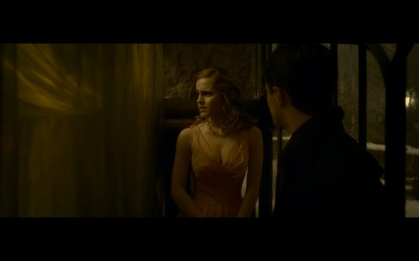 Harry Potter and the Half-Blood Prince - 690