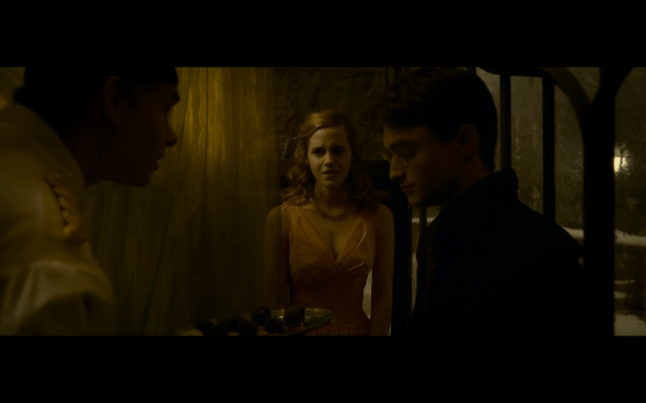 Harry Potter and the Half-Blood Prince - 691