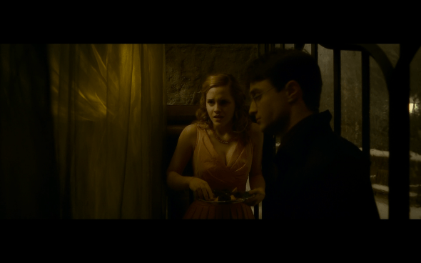 Harry Potter and the Half-Blood Prince - 692