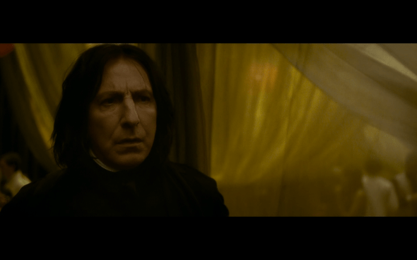 Harry Potter and the Half-Blood Prince - 698