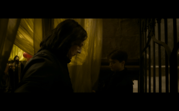 Harry Potter and the Half-Blood Prince - 700