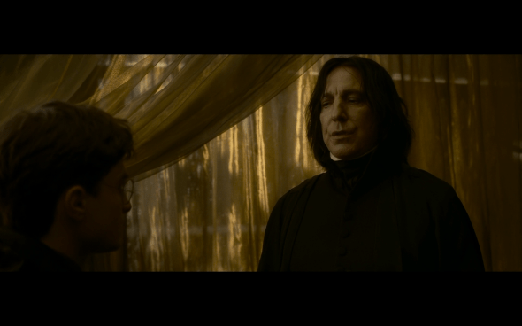 Harry Potter and the Half-Blood Prince - 703