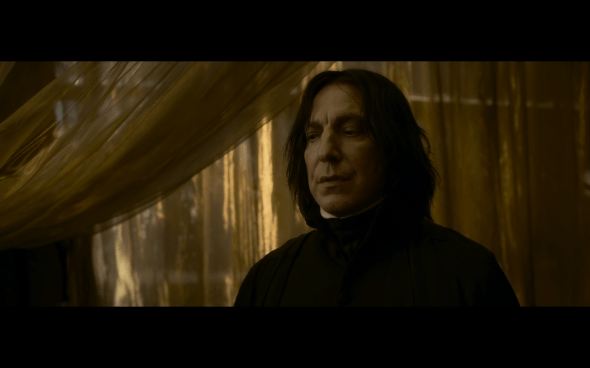 Harry Potter and the Half-Blood Prince - 705