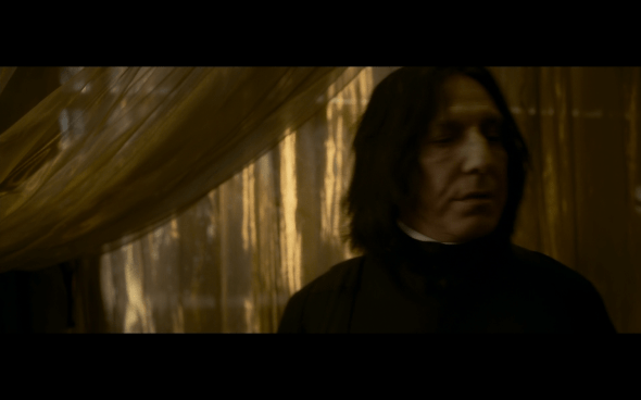 Harry Potter and the Half-Blood Prince - 706