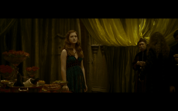 Harry Potter and the Half-Blood Prince - 708