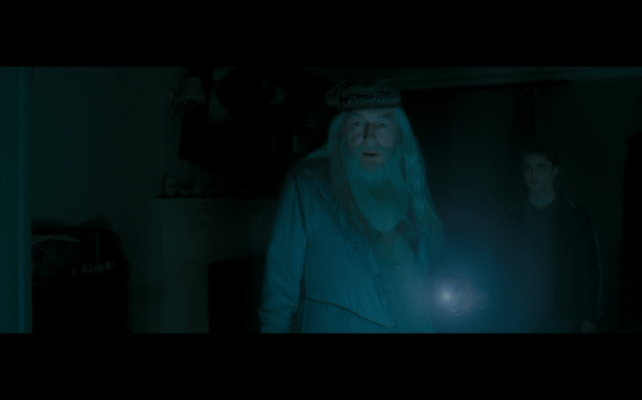 Harry Potter and the Half-Blood Prince - 71
