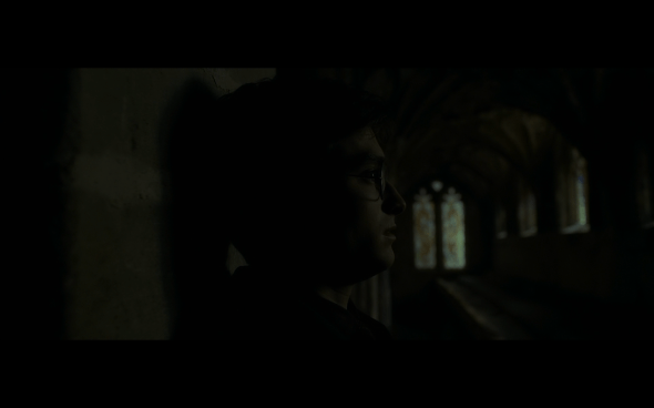 Harry Potter and the Half-Blood Prince - 712