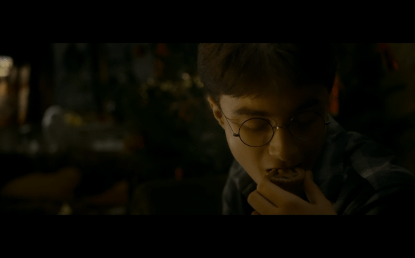 Harry Potter and the Half-Blood Prince - 728