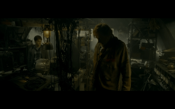 Harry Potter and the Half-Blood Prince - 734