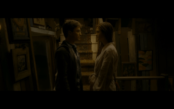 Harry Potter and the Half-Blood Prince - 747